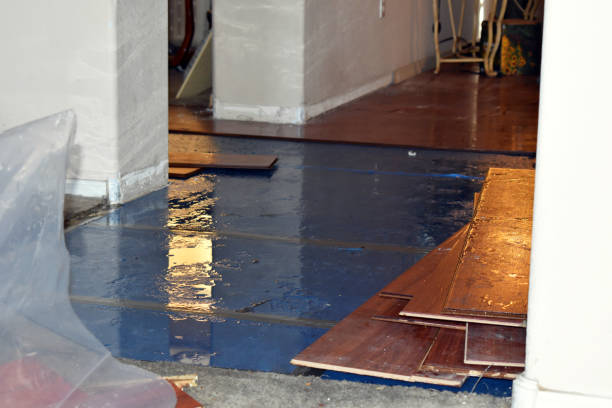 Professional Basement Flood Cleanup technician working in Canton, MN