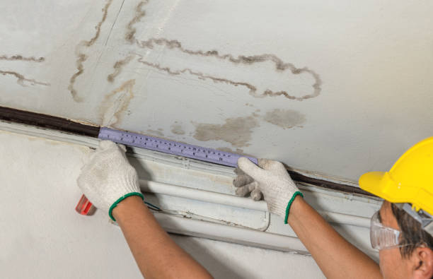 Reliable Basement Flood Cleanup contractor in Canton, MN by Aqua Guard Water Damage